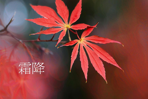 尊龙凯时-人生就是搏!